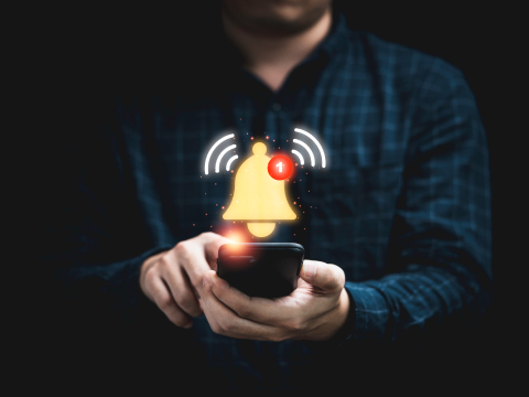 Create a Job Alert